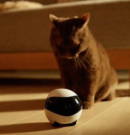 Smart Home Companion Robot with Remote Control (EBO SE/AIR)